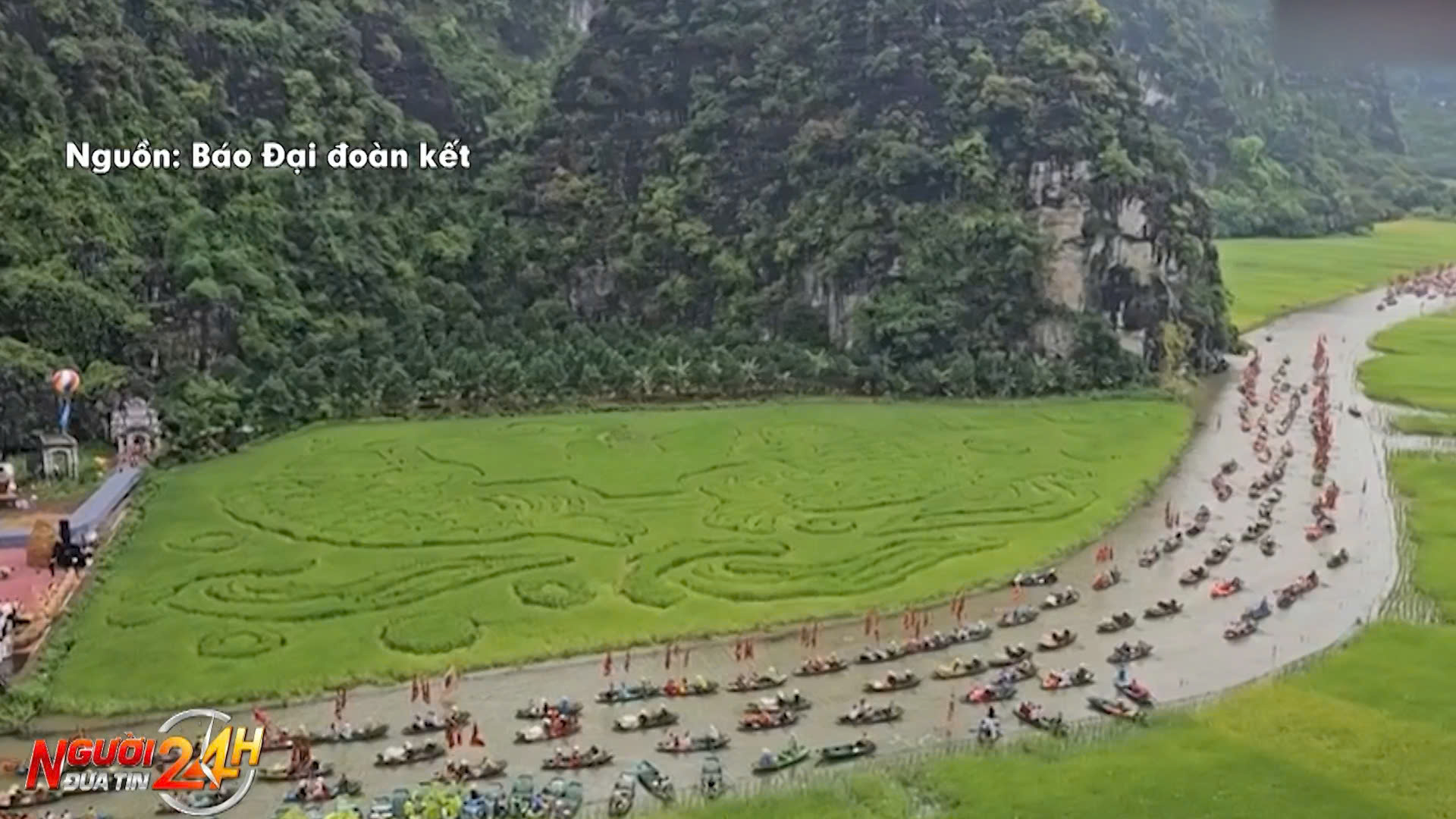 “Dải lụa” trên cánh đồng lúa Tam Cốc