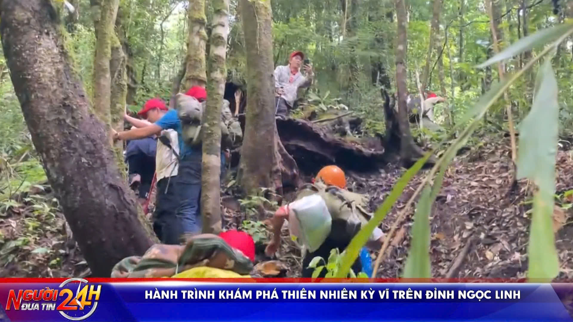 Hành trình khám phá thiên nhiên kỳ vĩ trên đỉnh Ngọc Linh