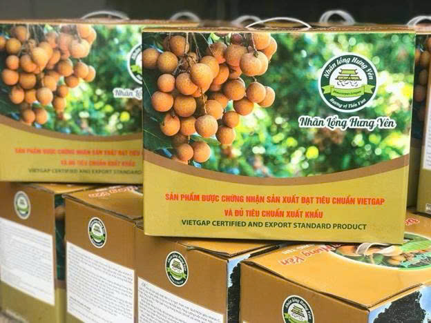 Nhãn Lồng Hưng Yên – Tiếp tục phát triển thương hiệu cho Chỉ dẫn địa lý và Cam kết nâng cao chất lượng, tạo giá trị bền vững