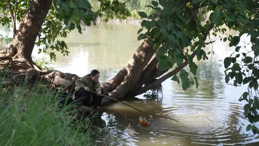 Chàng trai hiểu tiếng muôn loài và hành trình tìm linh chi cứu mẹ