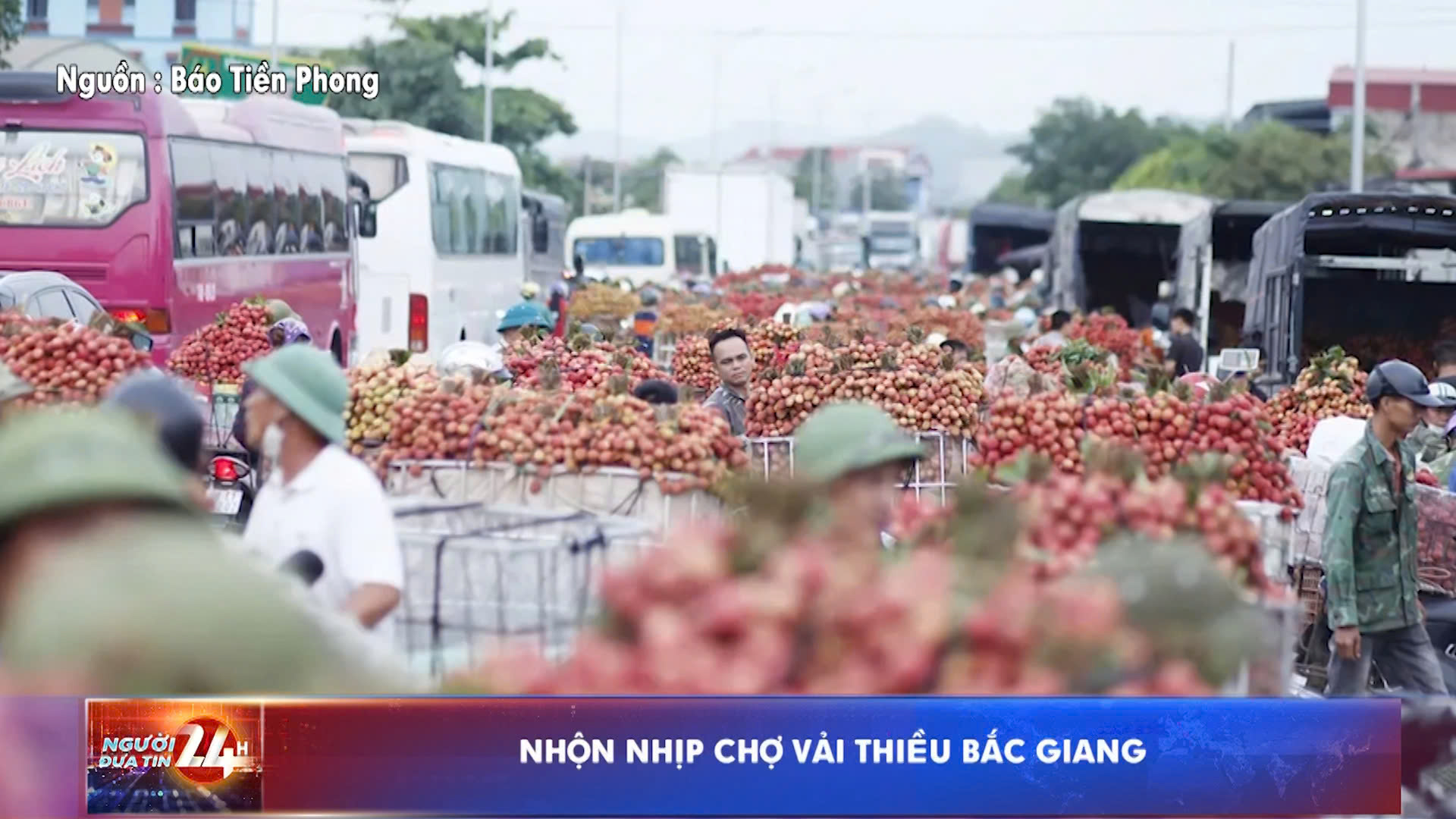 Nhộn nhịp chợ vải thiều Bắc Giang